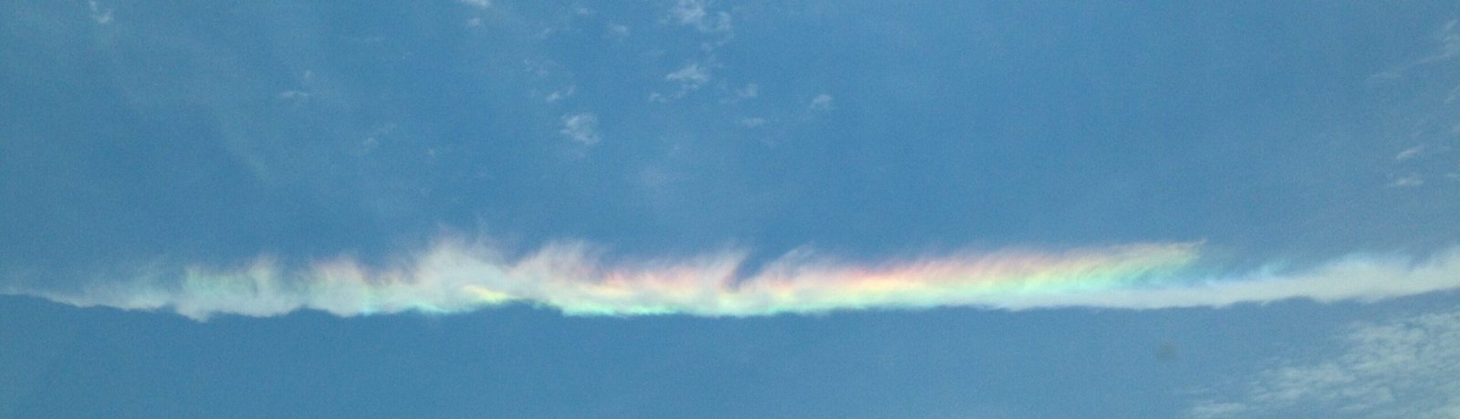 Tracy Zollinger Turner